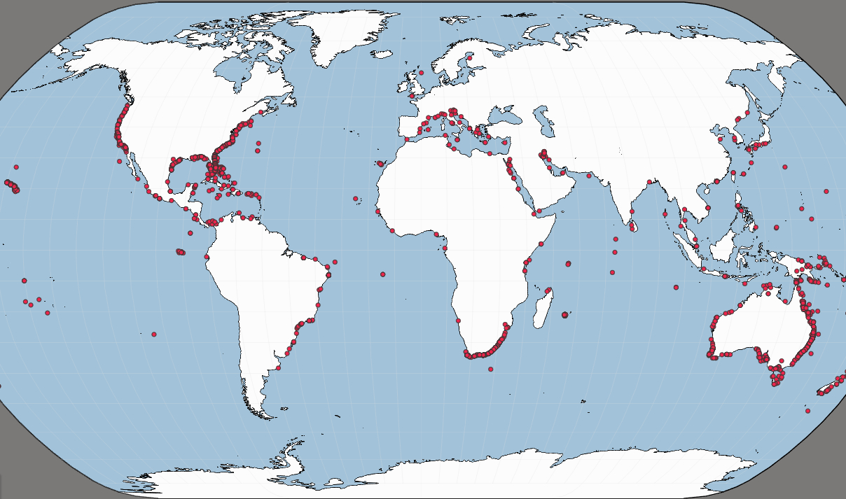 Unprovoked Shark Attack Interactive Map – International Shark within Map Of Shark Attacks In Florida