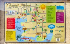 Want To Swim With Manatees In Crystal River, Florida? Read This First! intended for Map Of Florida Crystal River