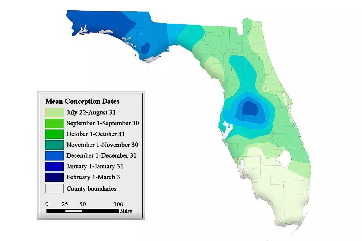 White-Tailed Deer Peak Rut Map - Florida Sportsman intended for Map Of Florida Hunting Zones