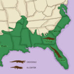 Wikihow Map Comparing Range Of Alligators And Crocodiles : R With Regard To Map Of Alligators In Florida
